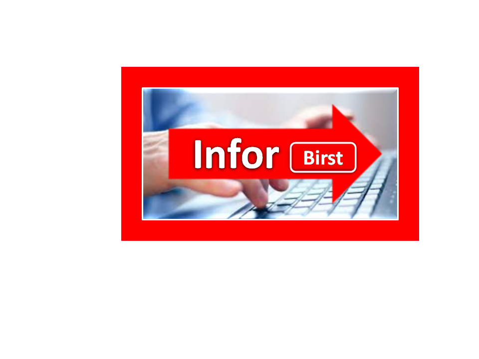 Infor Birst Online Training