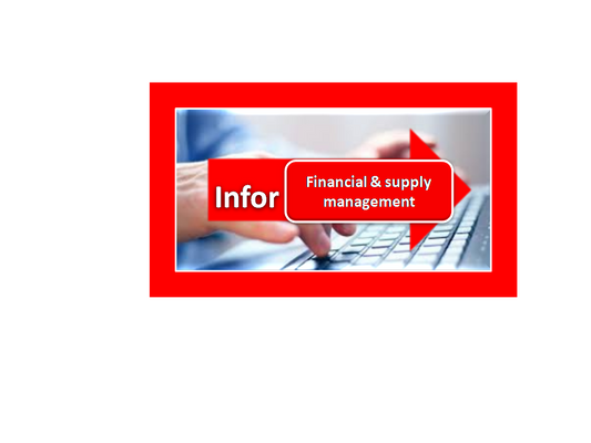 Infor Financial & Supply Management  Online Training