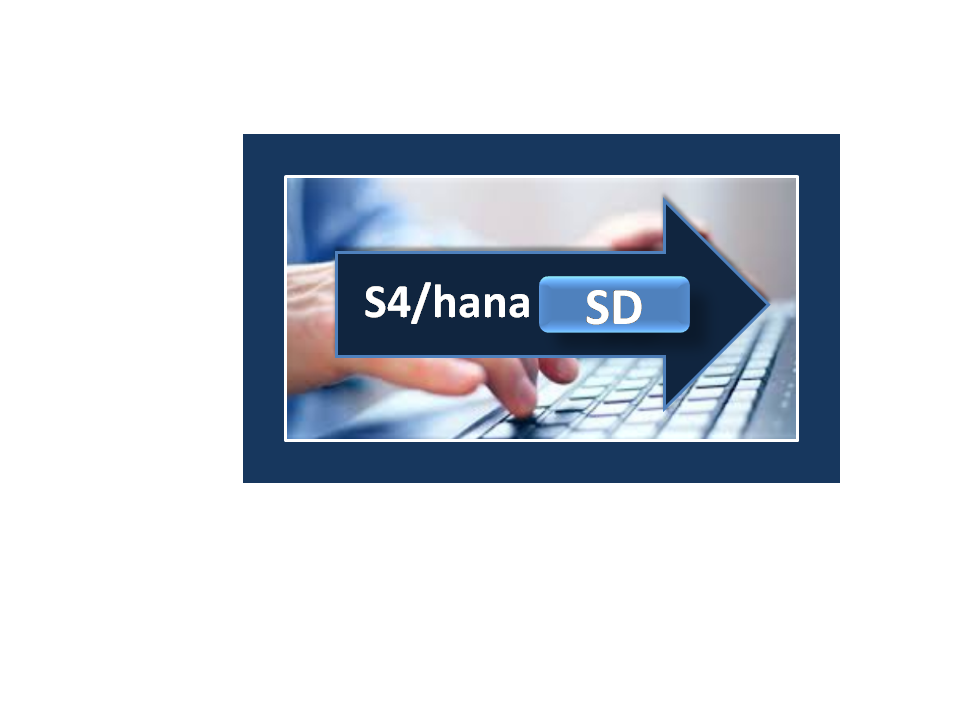 S4hana SD Online Training