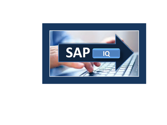 SAP IQ online training