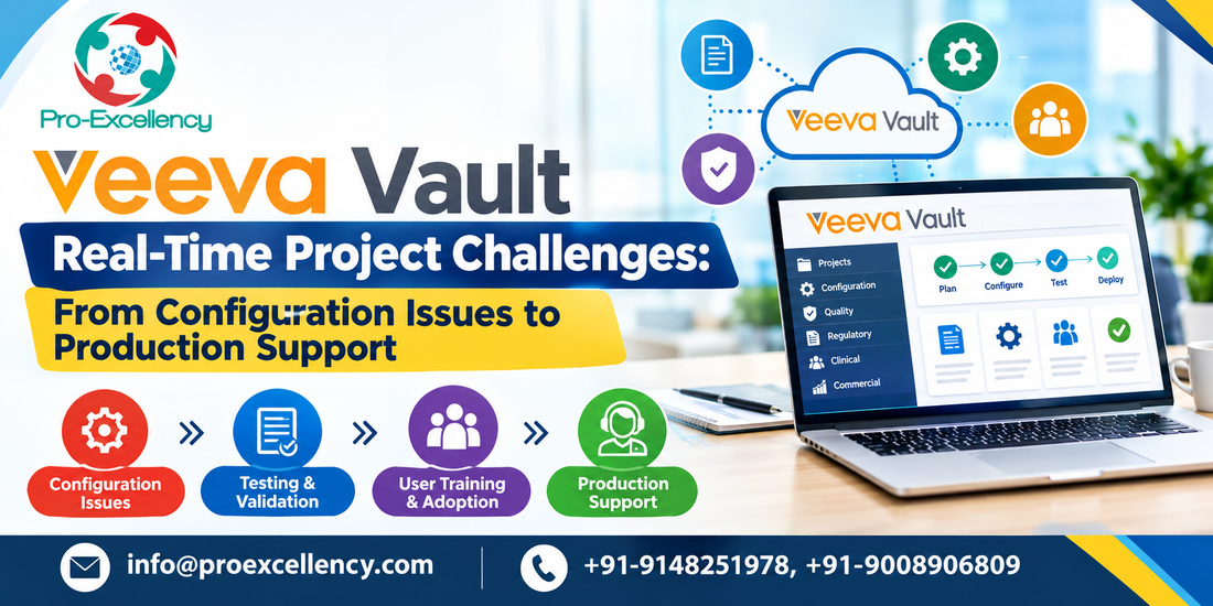Veeva Vault Real-Time Project Challenges: From Configuration Issues to Production Support