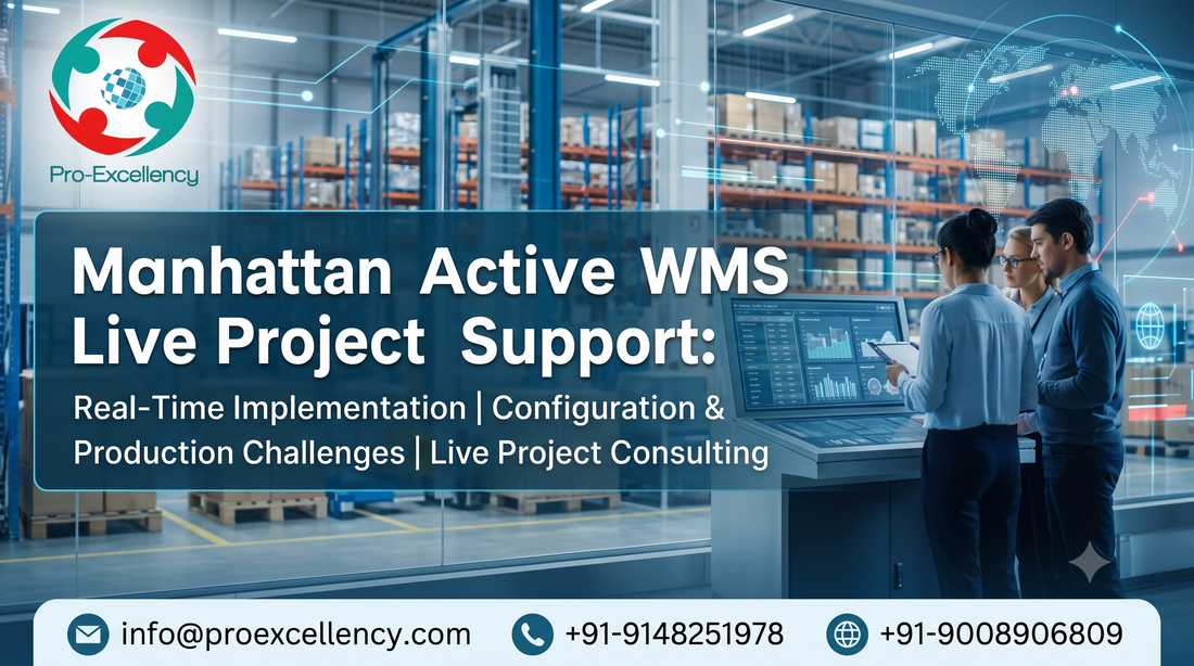 Manhattan Active WMS Live Project Support: Real-Time Implementation, Configuration & Production Challenges
