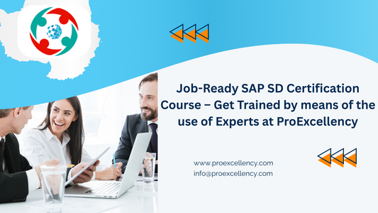 Job-Ready SAP SD Certification Course – Get Trained by means of the use of Experts at ProExcellency