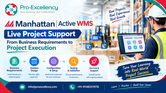 Manhattan Active WMS Live Project Support: From Business Requirements to Project Execution
