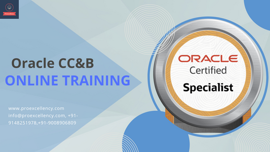 Who Should Enroll in Oracle CC&B Certification Online Training?