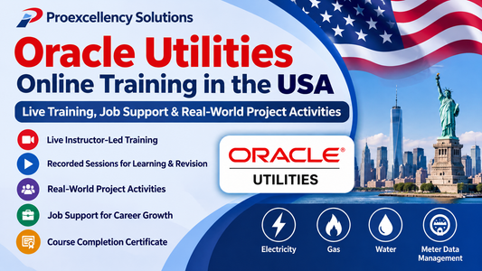 Oracle Utilities Online Training in the USA: Live Training, Job Support & Real-World Project Activities