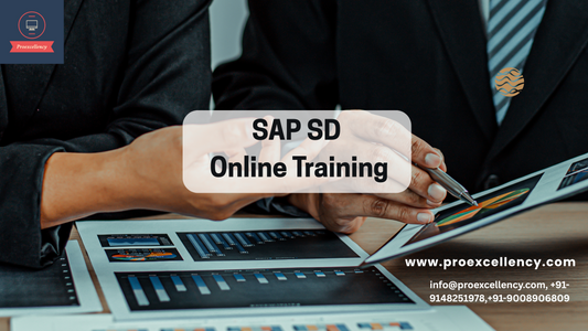 "What is SAP SD, and how can SAP SD Online Training help your career?"