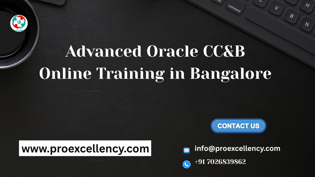 Advanced Oracle CC&B Online Training in Bangalore with Job Assistance