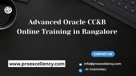 Advanced Oracle CC&B Online Training in Bangalore with Job Assistance