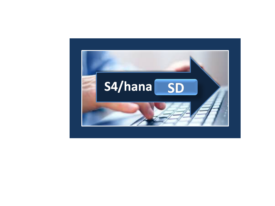 SAP SD Online Training in 2026: Complete Guide to Build a High-Paying Career