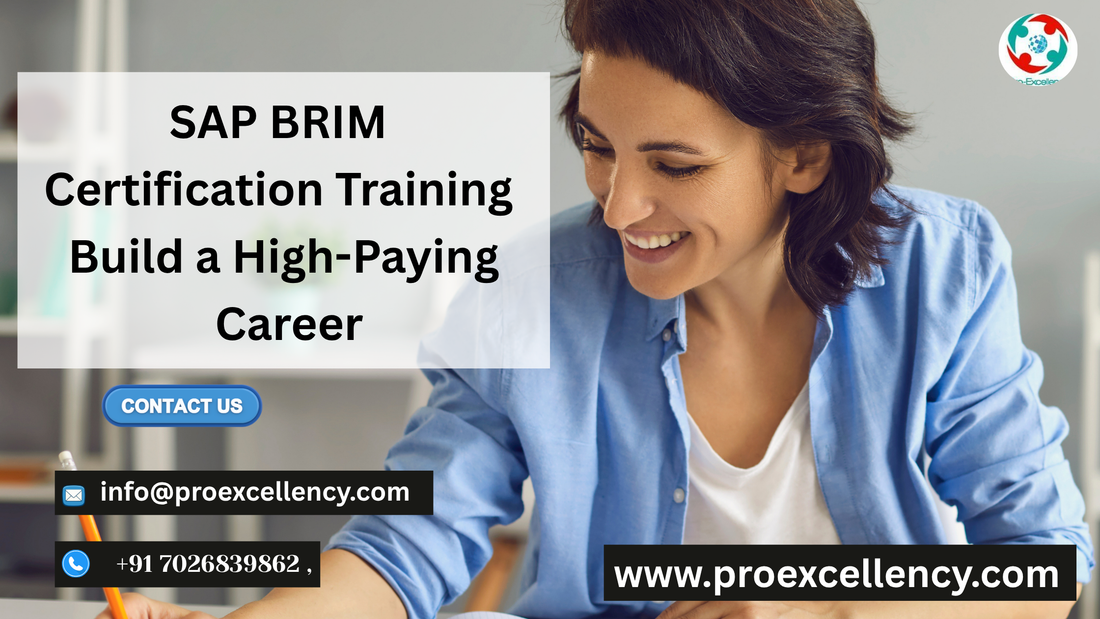 SAP BRIM Certification Training – Build a High-Paying Career