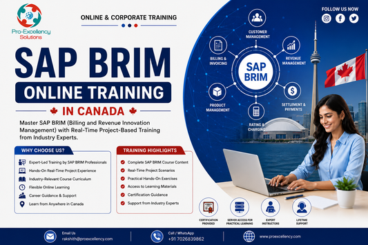 Career Overflowing? Fill It to the  SAP BRIM Online Training  with SAP Skills in Canada