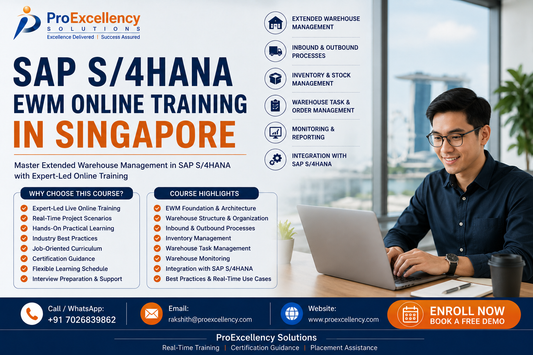 What is SAP S/4HANA EWM? A Beginner's Guide to Smart Warehouse Management in Singapore