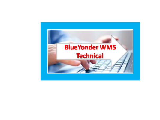 Blueyonder WMS Technical Online Training