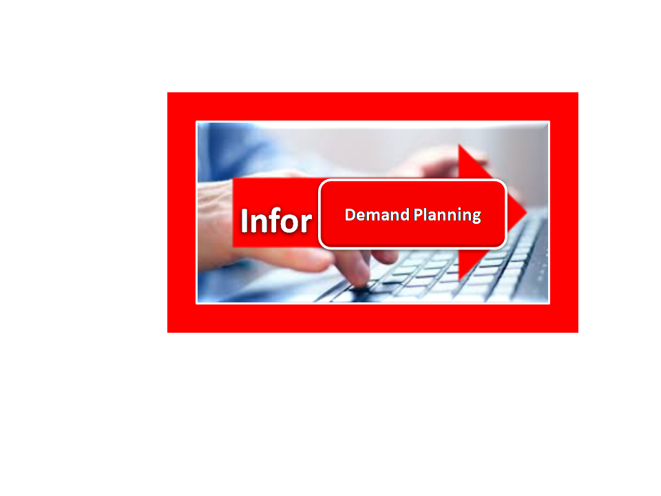 Infor Demand Planning Online Training