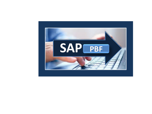 SAP Public Budget Formulation (PBF) online training