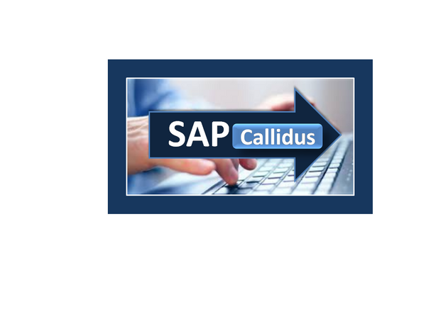Unlock Sales Growth with Callidus Cloud Online Training | Expert-Led ...