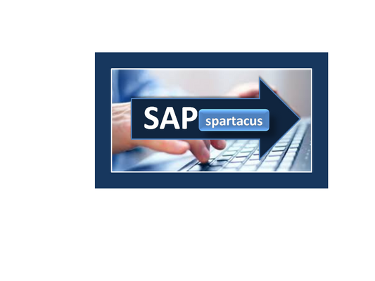 SAP Spartacus Online Training