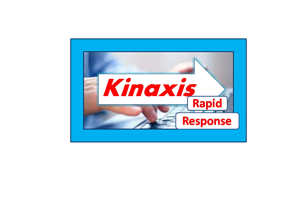 Kinaxis Rapid Response Training - Proexcellency