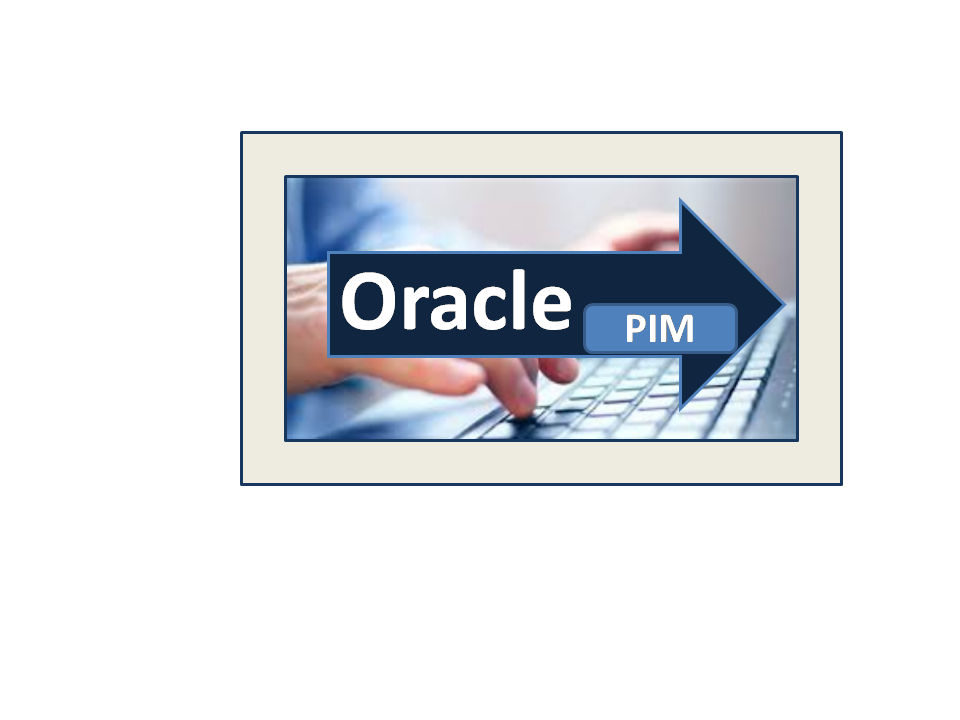 Oracle PIM Online Training