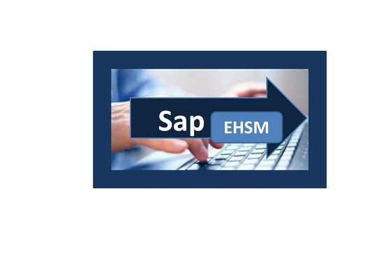 SAP EHSM ONLINE TRAINING