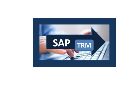 SAP Treasury Risk Management (TRM) ONLINE TRAINING